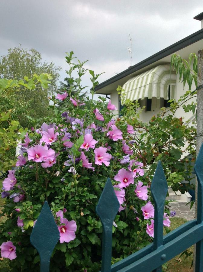 הוילה ספינאה Casa Del Vigneto מראה חיצוני תמונה